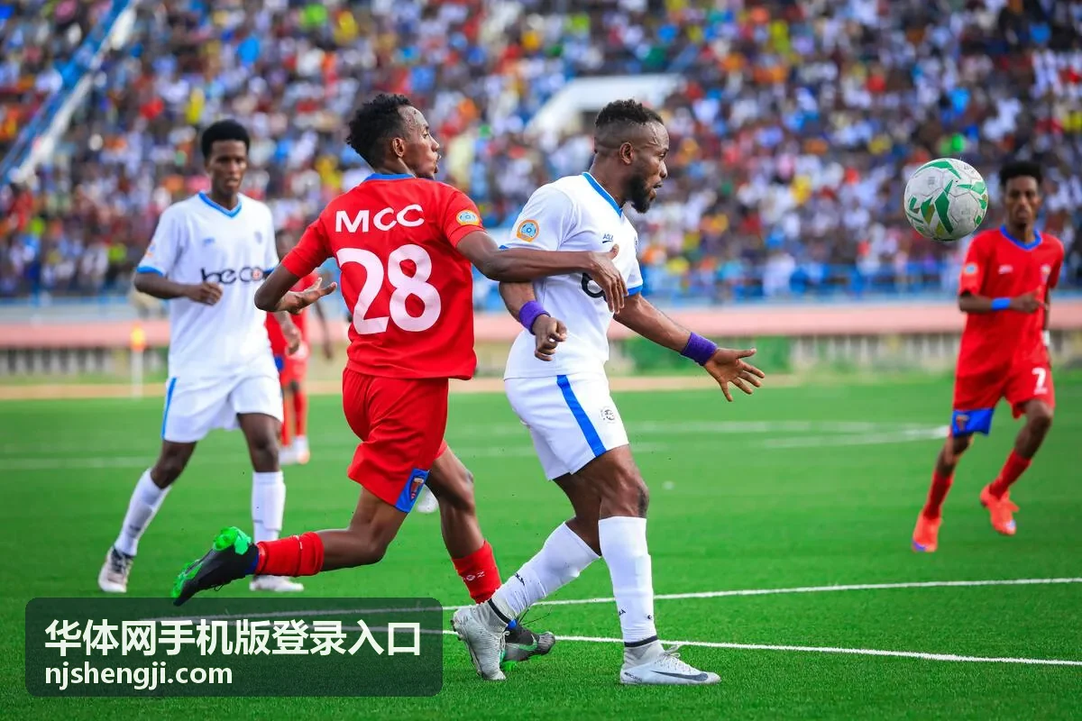 反馈与内容补充专题封面
